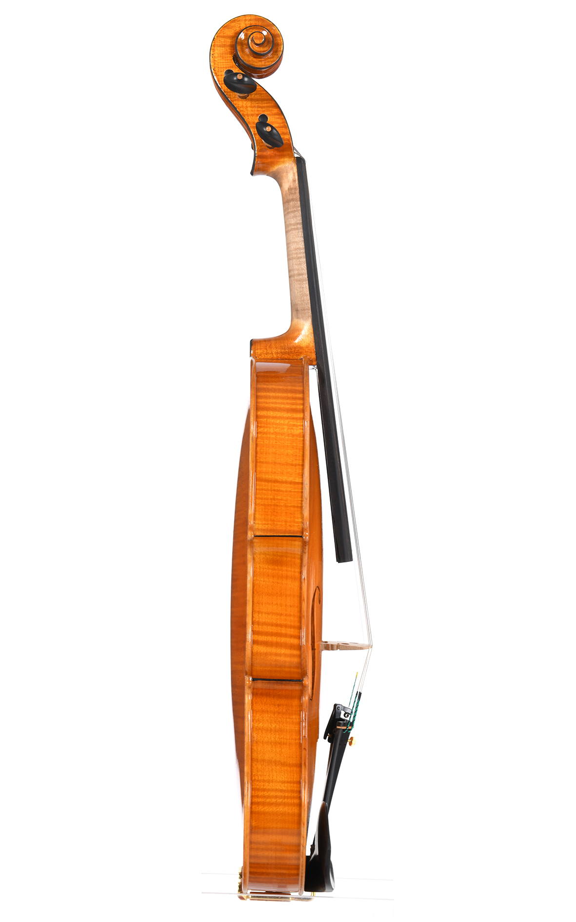Violino no. 36 Officina Mauro Lucini, Cremona 2024 - VENDUTO - immagine 5