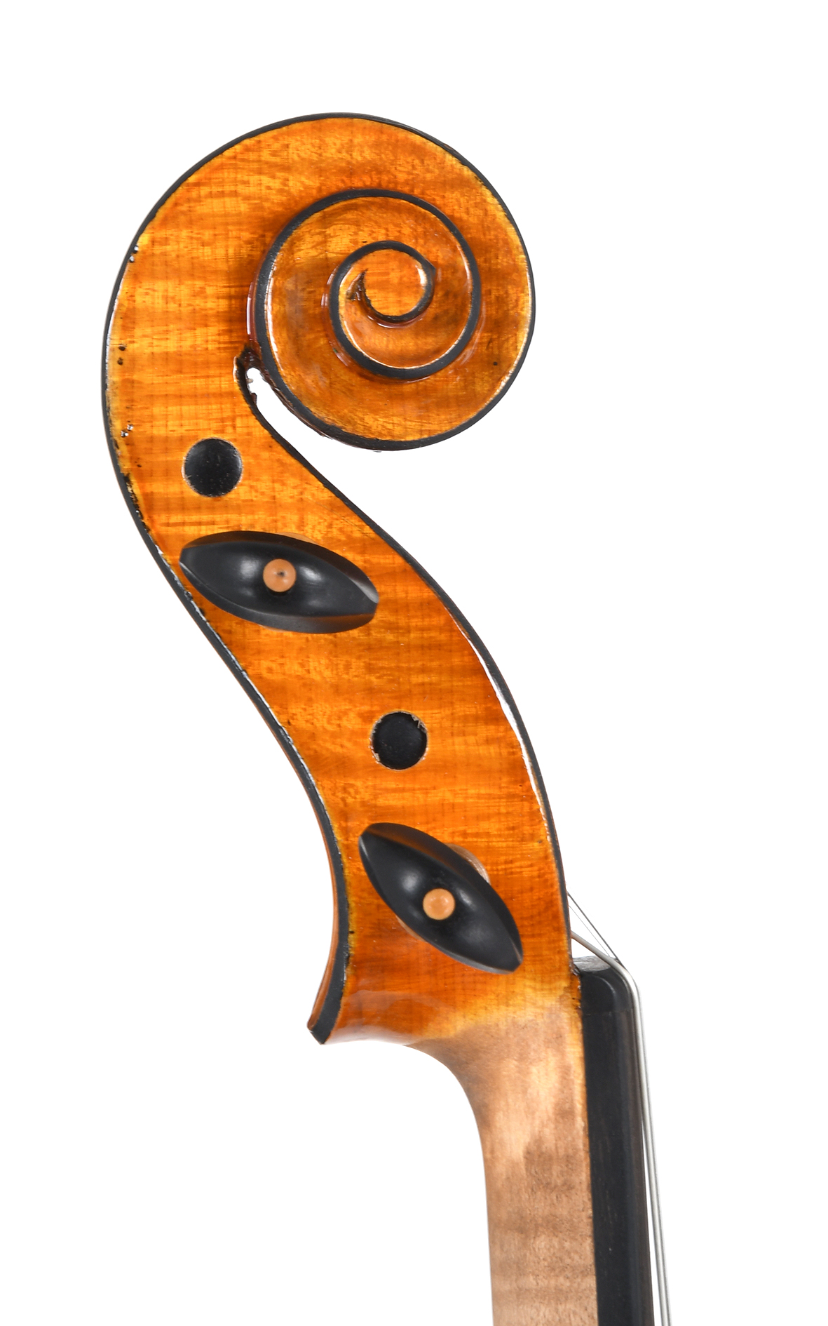 Violino no. 36 Officina Mauro Lucini, Cremona 2024 - VENDUTO - immagine 4