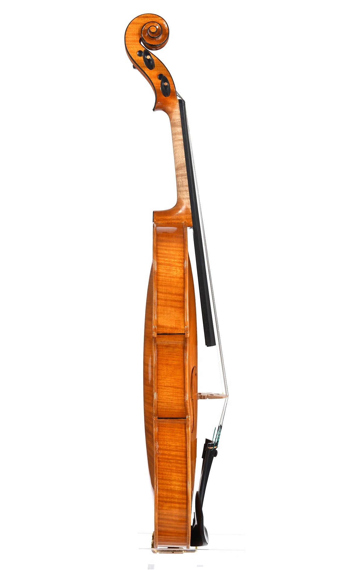 Violino no. 30 Officina Mauro Lucini, Cremona 2024 - VENDUTO - immagine 2