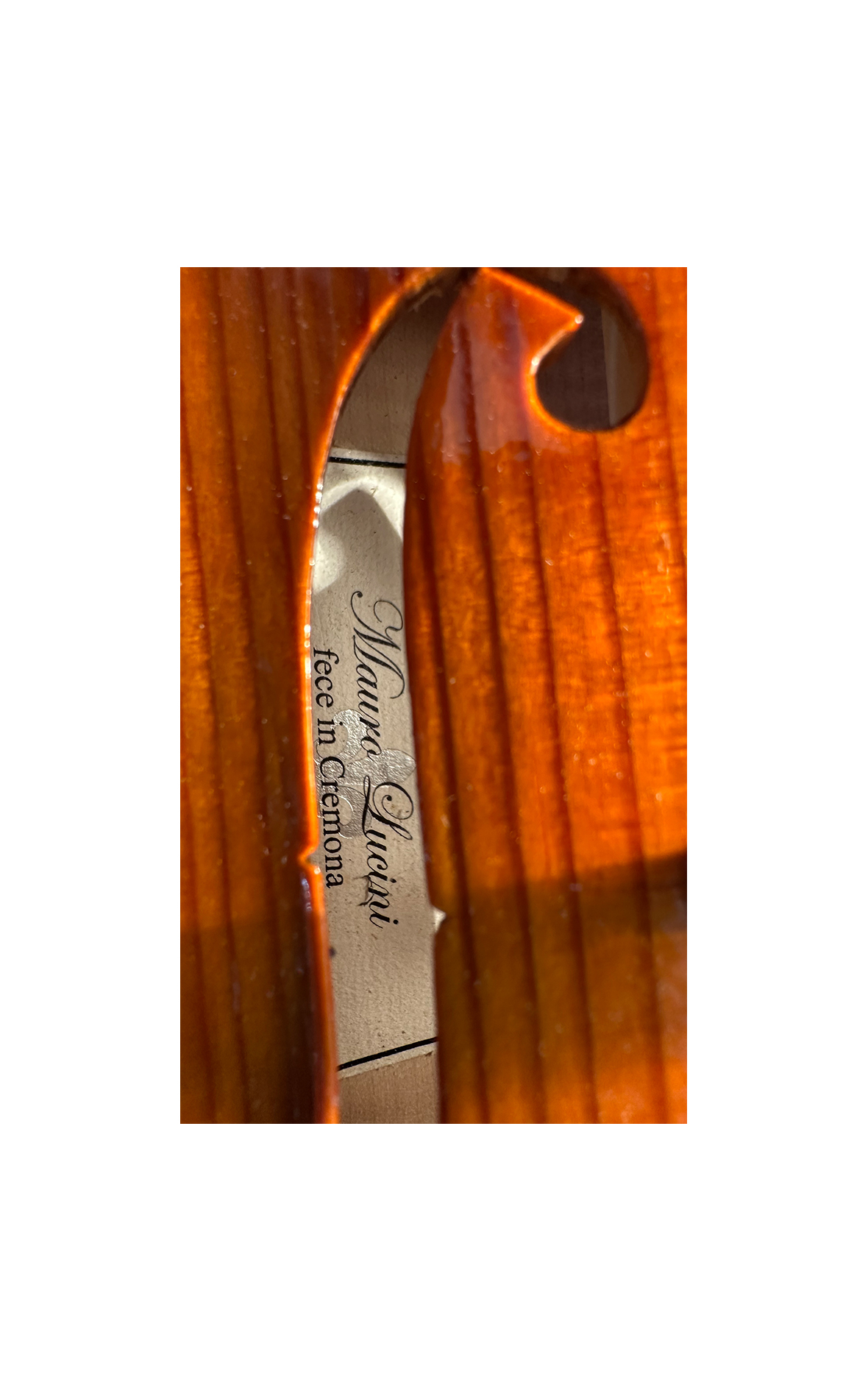 VENDUTO Violino di Cremona, Officina Mauro Lucini n.72 - VENDUTO - immagine 8