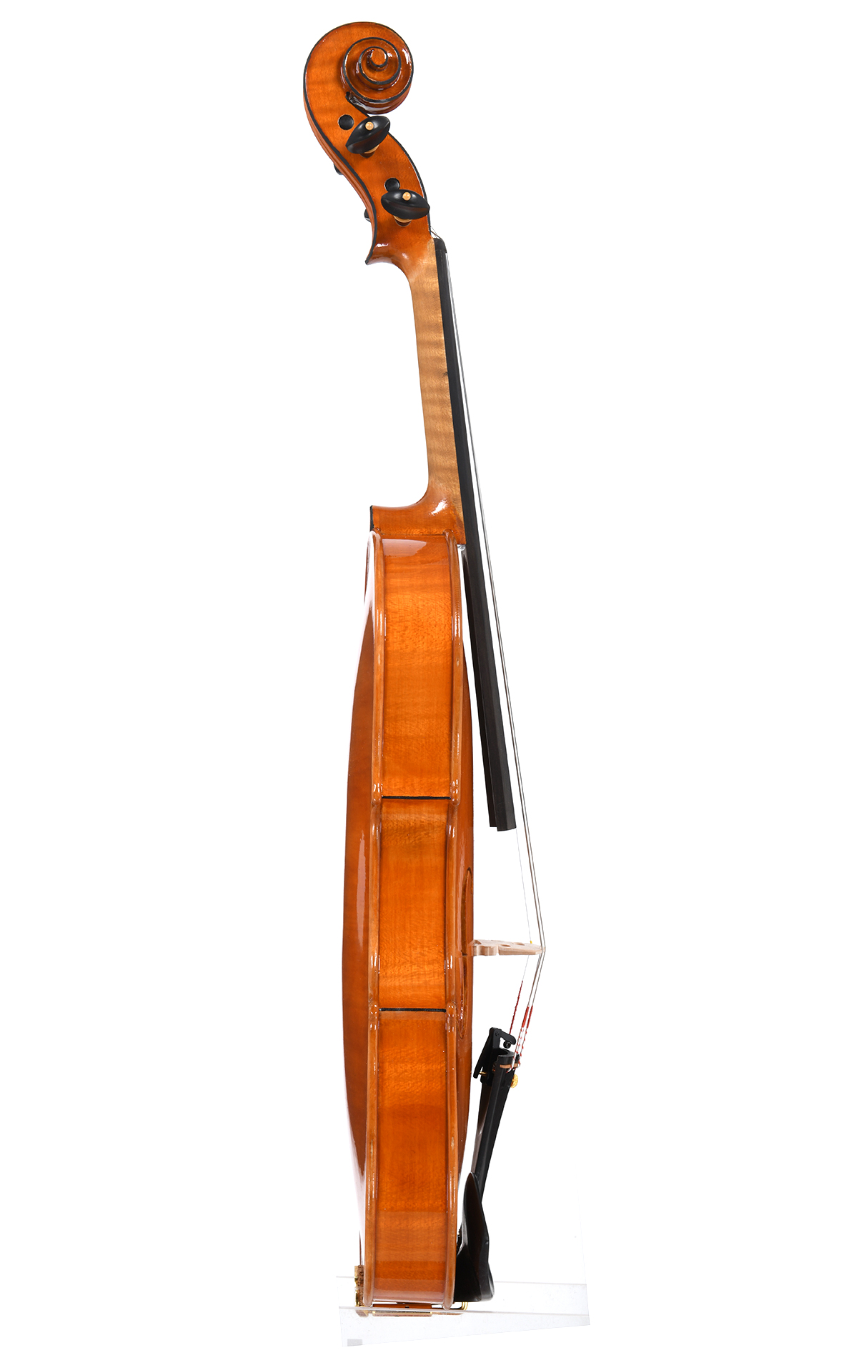 Violino di Cremona no. 69 Officina Mauro Lucini, Cremona 2024 (certificato) - VENDUTO - immagine 5